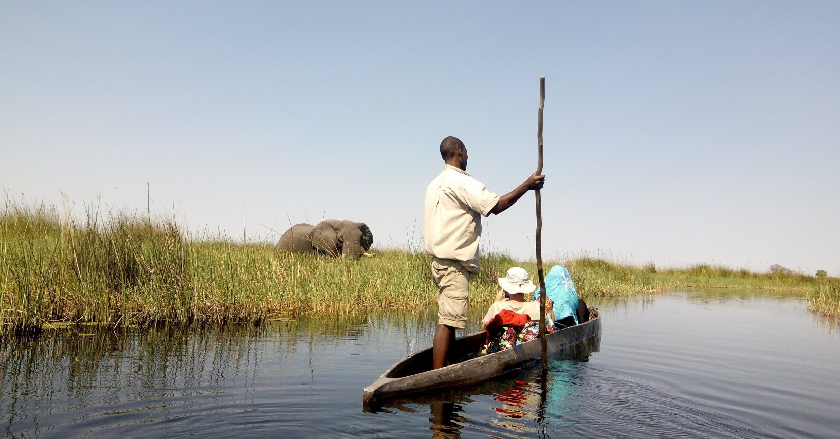 Viewing Elephant from a Mokoro in the Okavango delta.