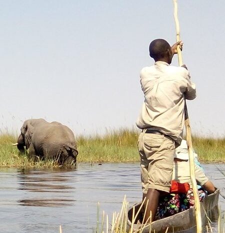 Elephant crossing river as Mokoro guide waits.